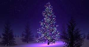 Felices Fiestas a toda la familia rayista